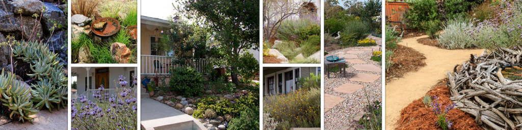 Native Plants Garden Native Tour 2015