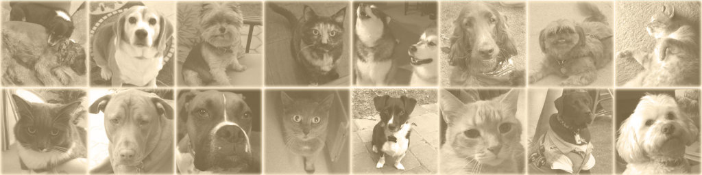 buying a home with pets